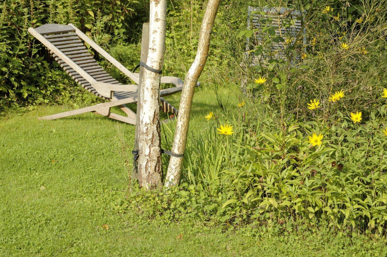 B&B Le Clos De La Fontaine Cheoux Bagian luar foto